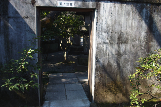 P2150581zojoji tokugawa