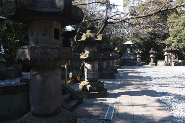 P2150582zojoji tokugawa