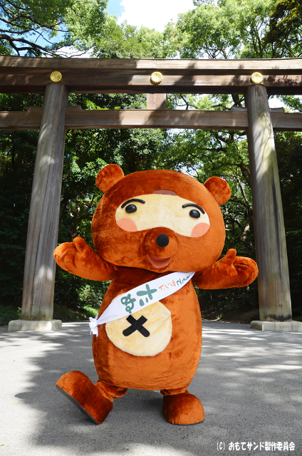 tanu2013