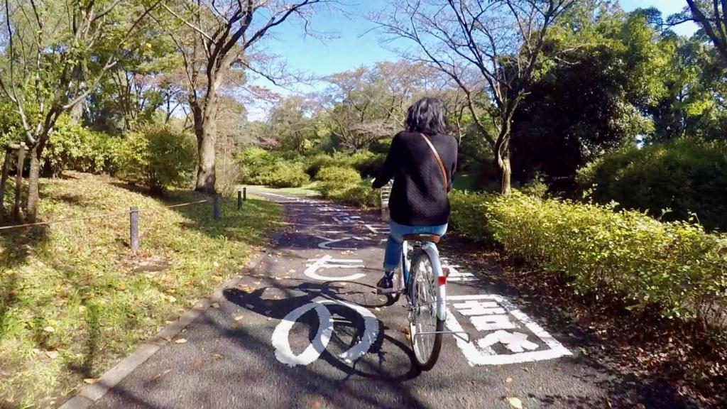 国営昭和記念公園でレンタサイクル 木漏れ日の中のサイクリングが気持ちいい Pr 東京散歩ぽ