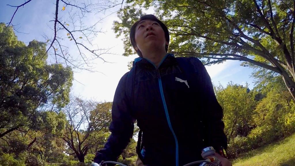 国営昭和記念公園でレンタサイクル 木漏れ日の中のサイクリングが気持ちいい Pr 東京散歩ぽ