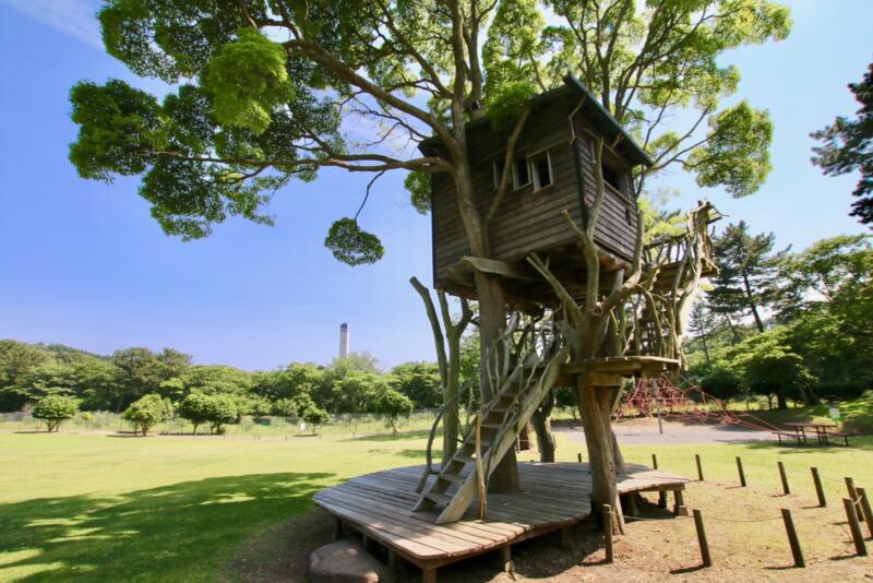 東伊豆町出身で日本を代表するツリーハウスクリエーターの小林崇さんがプロデュースするツリーハウス