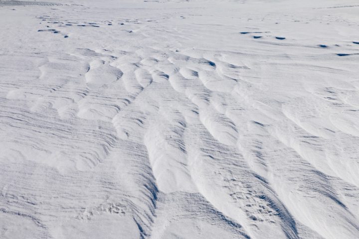 雪原には風で作り出された芸術的な幾何学模様が続いていました