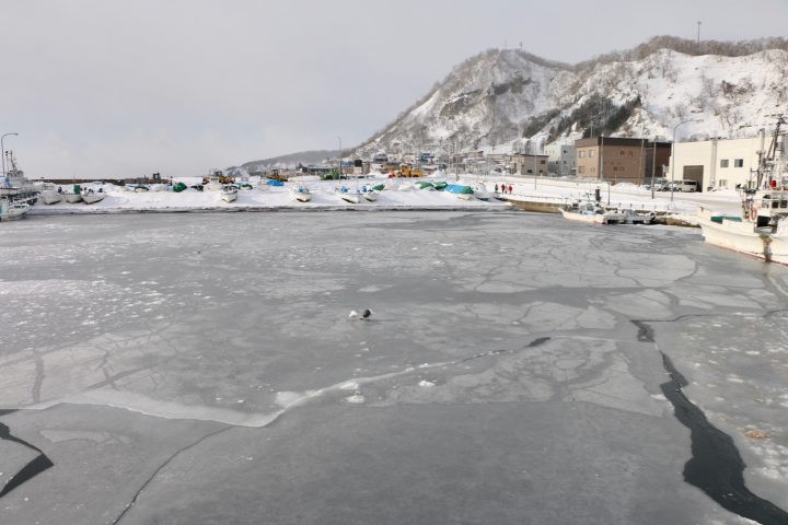 港の海はすでに凍っていた
