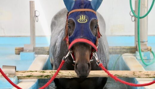 プールと温泉でリハビリするお馬たちを見学できるJRAの施設を見てきた【福島いわき】