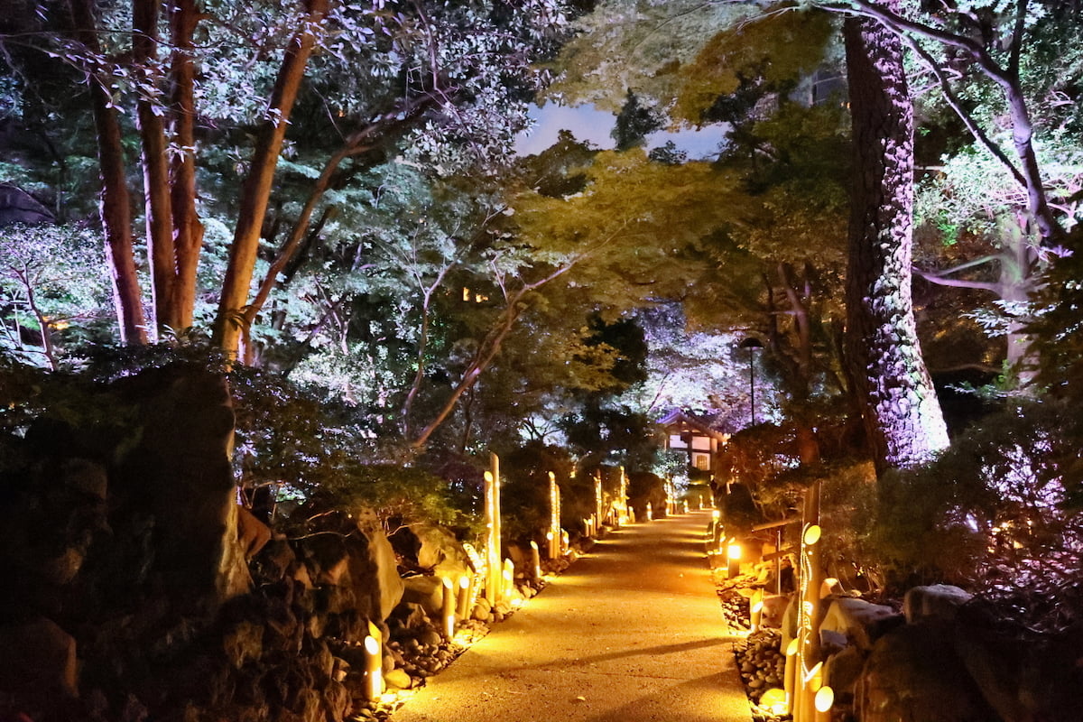 タイムトリップ絶景夕涼み体験