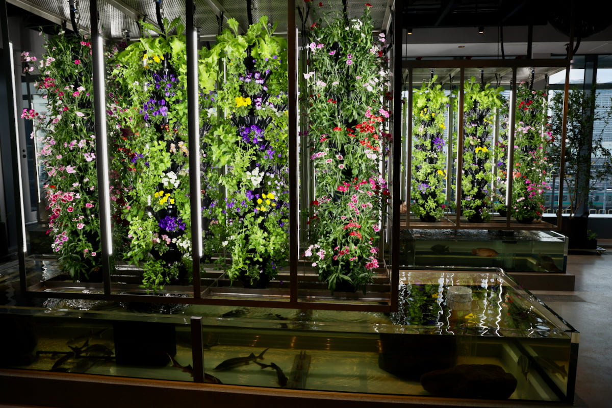 AGRIKO×MIMURE BOTANICAL Lab