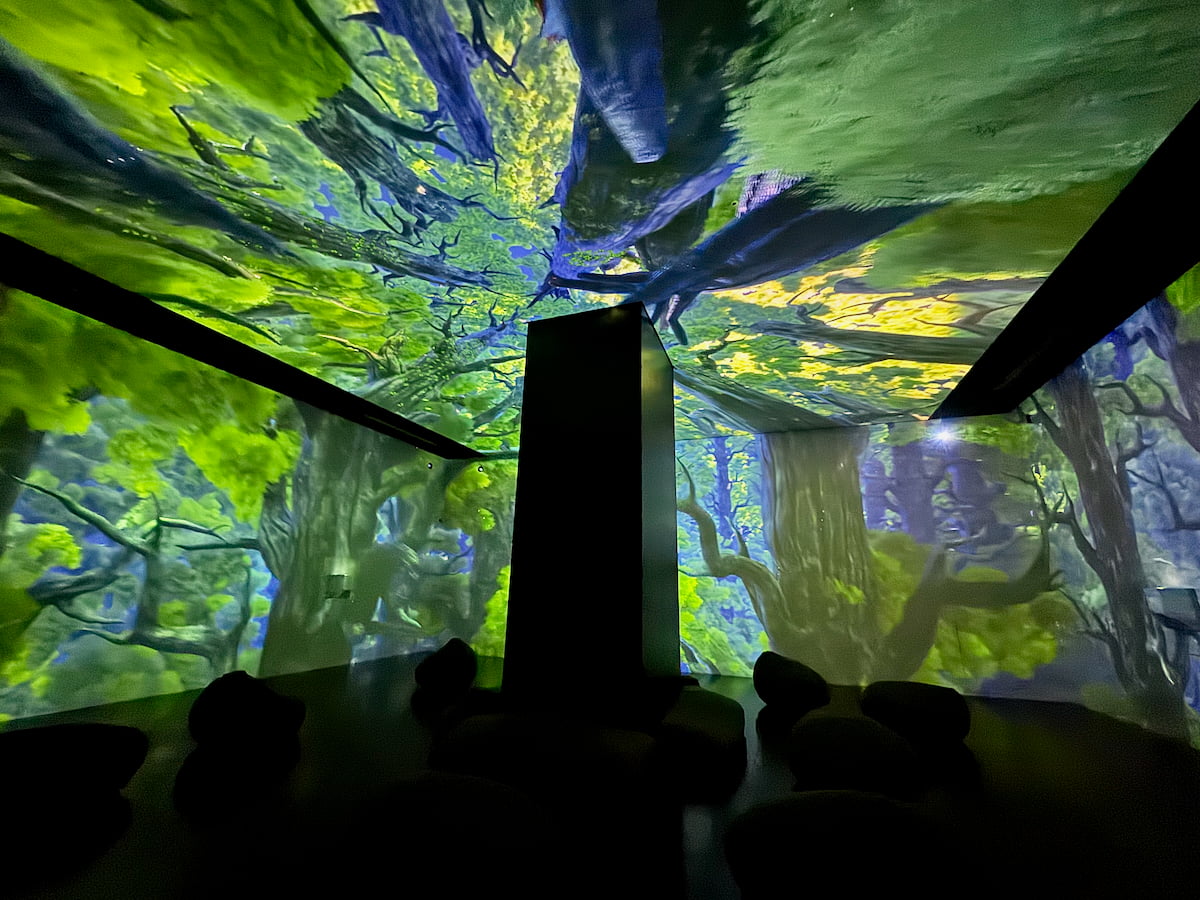 ワンダリア横浜 Supported by Umios