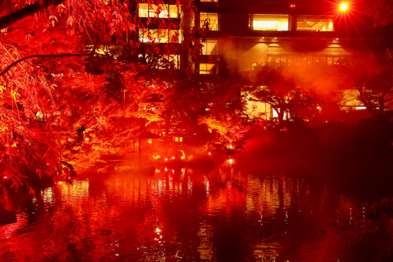 八芳園で紅葉ライトアップイベントが11/10(金)から開催！RED GARDENアペリティフナイトを体験レポ