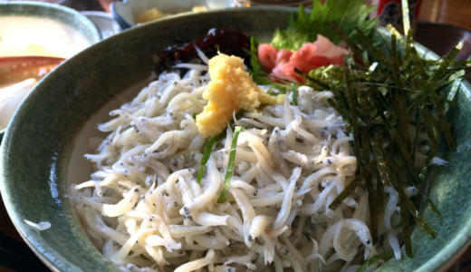 【江ノ島】「魚見亭」で太平洋の絶景を眺めながらしらす丼を食す