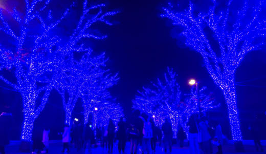 【年越しイルミ】「青の洞窟 SHIBUYA NEW YEAR WALK」オールナイト点灯が開催決定