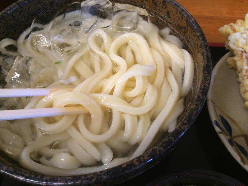 超高速回転のうどん屋さん「麺処綿谷 丸亀店」で冷やしうどんと肉ぶっかけ( 0w0)ﾉ ｳｪｰｲ【香川うどんさんぽ②】