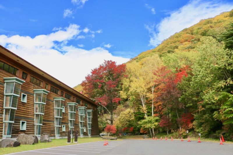 日光・中禅寺湖周遊コースで紅葉狩り！はとバスツアー実車レポ華厳の滝と中禅寺金谷ホテルでランチ