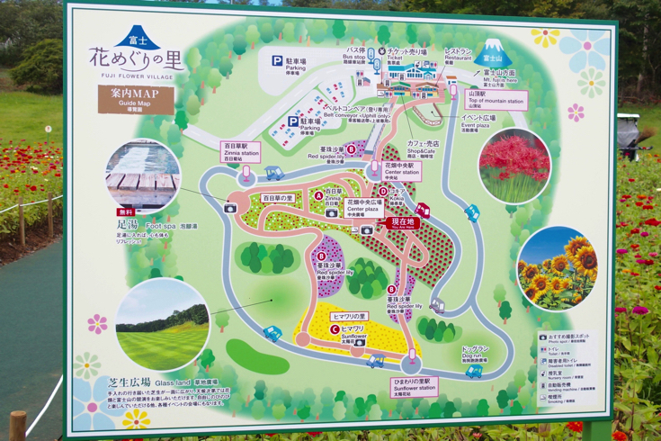 天空の花畑 富士 花めぐりの里 は富士山と花が楽しめる絶景スポット 東京散歩ぽ
