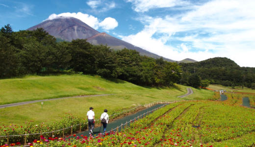 【天空の花畑】「富士 花めぐりの里」は富士山と花が楽しめる絶景スポット