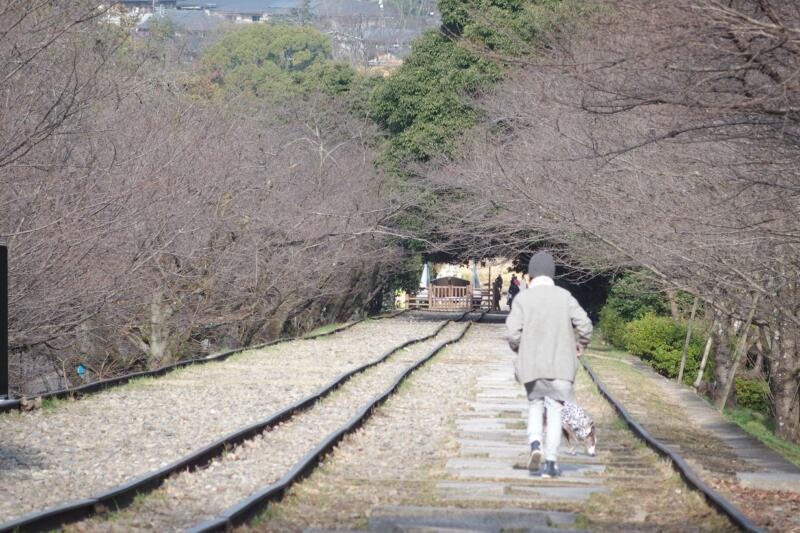 【京都・蹴上インクライン】世界最長の傾斜鉄道跡を廃線さんぽ