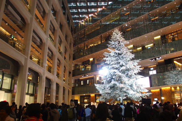 東京駅丸の内 Kitteと丸ビルのクリスマスツリーを見て来たよ 東京散歩ぽ