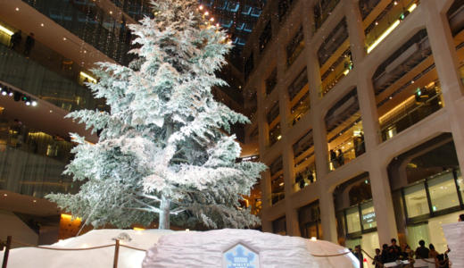 【東京駅丸の内】KITTEと丸ビルのクリスマスツリーを見て来たよ！