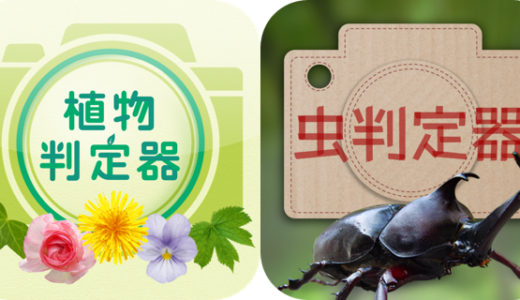 花や虫の名前を判定してくれるiPhoneアプリ「植物判定器」「虫判定器」
