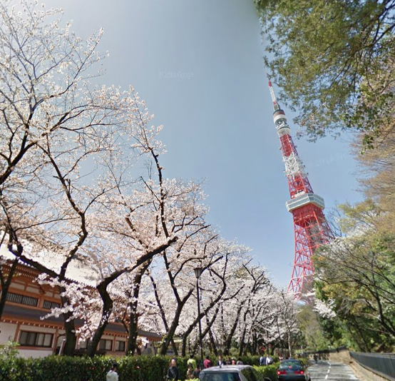 【Googleマップで花見さんぽ】全国の桜の名所がストリートビューで観られます